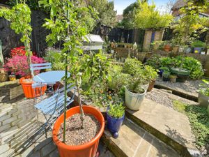 Rear Garden- click for photo gallery